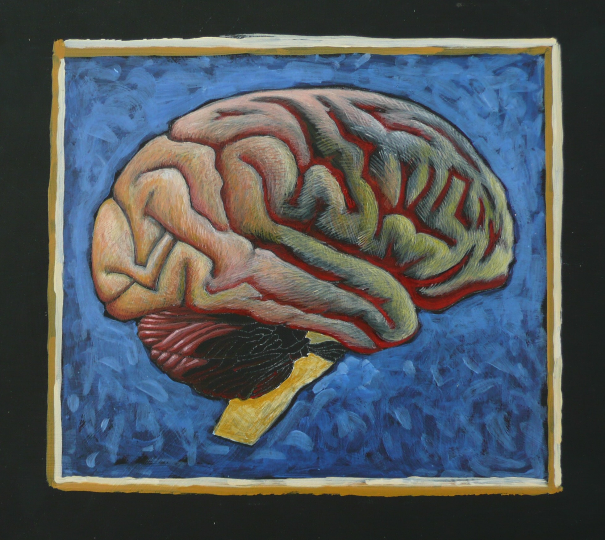 acryl brain